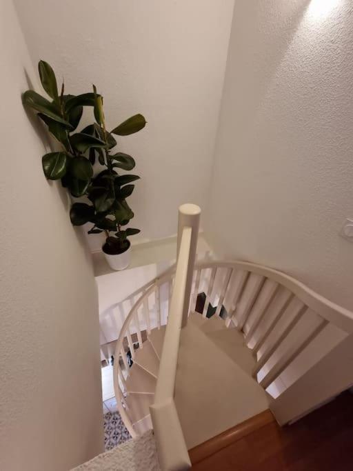 Le Dali-Duplex Au Pied De Castillet Perpignan Luaran gambar
